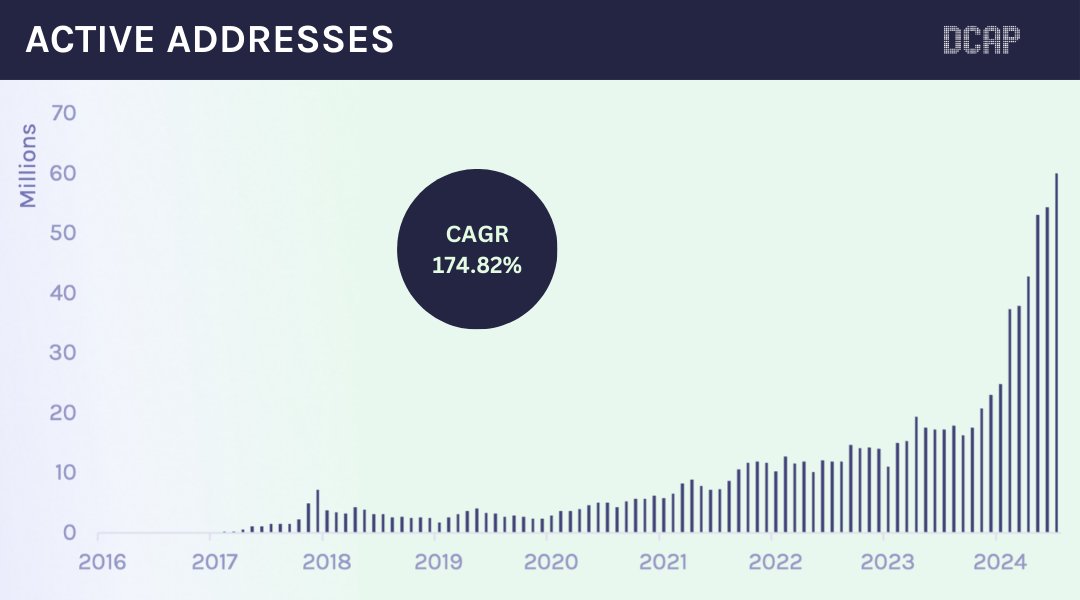 DCAP Ltd tweet media