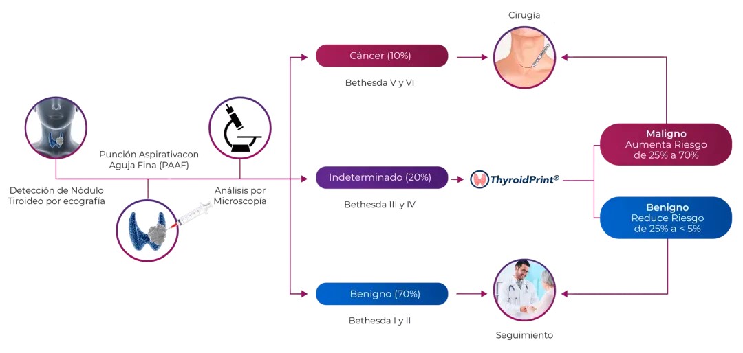 Ya está disponible en el HUCA la posibilidad de realizar diagnostico molecular de riesgo de malignidad para los nódulos tiroideos  con citología indeterminada. Se ha aprobado la compra del Idylla™ ThyroidPrint que nos ayudará a evitar cirugías innecesarias de tiroides.