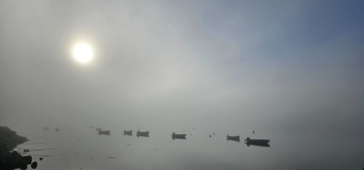 nicillemhoire's tweet photo. Fogbows and cobwebs. The haar/fog seems to be burning off nicely.
#SeptemberWeather #LochLeurbost ##Crossbost #NorthLochs #IsleofLewis #WesternIsles #OuterHebrides #Foggy #FogBow https://t.co/1s3FwROid8