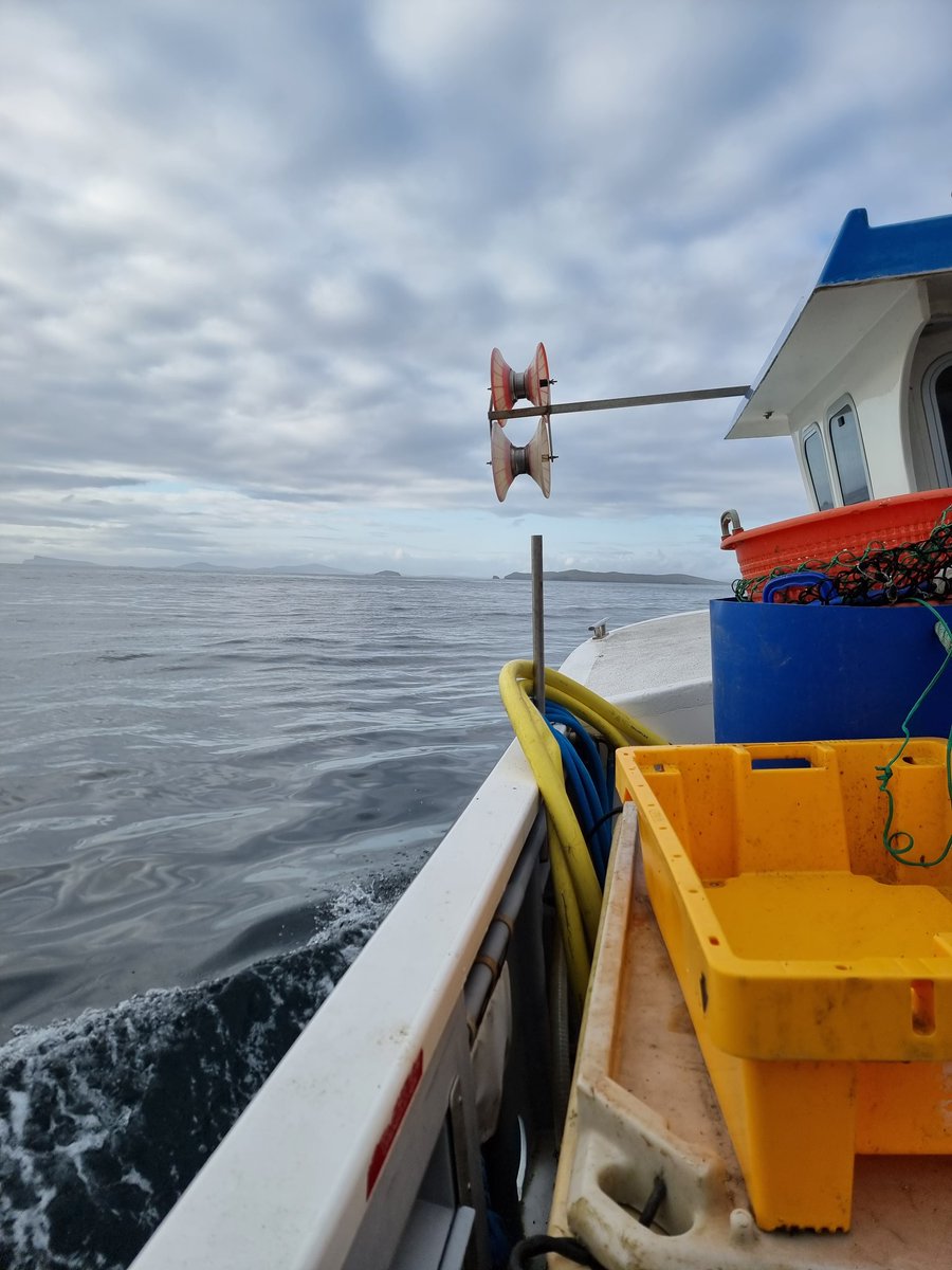 Emily Hague 🚢🐳🐬 (@emilyhague) on Twitter photo Spent a day away from the desk yesterday helping <a href="/sophieafsmith96/">Sophie Smith</a> check on the hydrophones she has deployed to monitor porpoise aggregations off Shetland, as part of her <a href="/uhishetland/">UHI Shetland</a> <a href="/SUPERDTP1/">SUPER Doctoral Training Partnership</a> PhD 🌊 A fab day at sea with brilliant skipper James John 🐟💙 Spent a day away from the desk yesterday helping <a href="/sophieafsmith96/">Sophie Smith</a> check on the hydrophones she has deployed to monitor porpoise aggregations off Shetland, as part of her <a href="/uhishetland/">UHI Shetland</a> <a href="/SUPERDTP1/">SUPER Doctoral Training Partnership</a> PhD 🌊 A fab day at sea with brilliant skipper James John 🐟💙