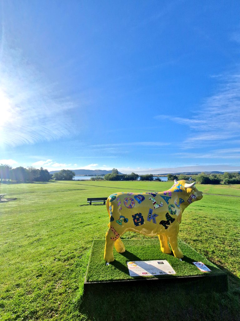 Fiona Harvey (she/her) (@madebyfi) on Twitter photo Stunning morning in Kinross for a walk to find a Coo. #HairyHighlandCooTrail <a href="/wildinart/">Wild in Art</a> <a href="/supportCHAS/">Children's Hospices Across Scotland</a> Stunning morning in Kinross for a walk to find a Coo. #HairyHighlandCooTrail <a href="/wildinart/">Wild in Art</a> <a href="/supportCHAS/">Children's Hospices Across Scotland</a>