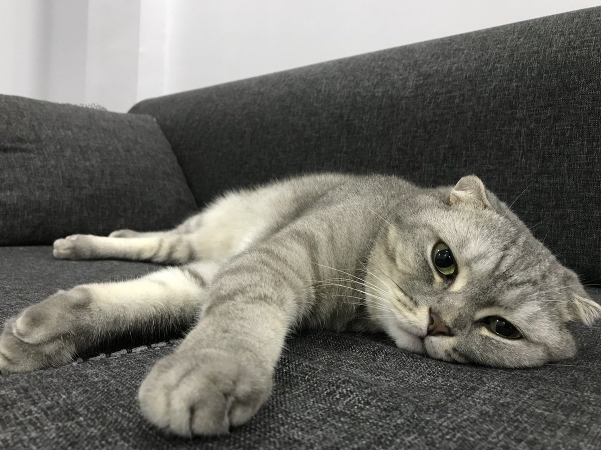 Seni karanlıktan, aydınlığa emanet ettim
Derinlerden bulutlara, siyahlardan beyazlara emanet ettim
Tüm yazgıları silip ellerimle, seni başka bir kadere emanet ettim
Seni bir felaketten esirgeyip, bir umuda emanet ettim.