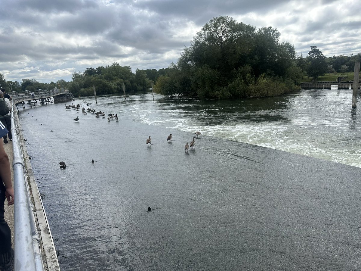 Magda Titirici (@titiricigroup) on Twitter photo Great day outdoors hiking along the Thames with <a href="/Interfacial_EC/">Interfacial Electrochemistry Group</a> and my group- although with poor presence on both sides. Beautiful scenery and great conversation. Thank you Morven for organising this so perfectly! Great day outdoors hiking along the Thames with <a href="/Interfacial_EC/">Interfacial Electrochemistry Group</a> and my group- although with poor presence on both sides. Beautiful scenery and great conversation. Thank you Morven for organising this so perfectly!