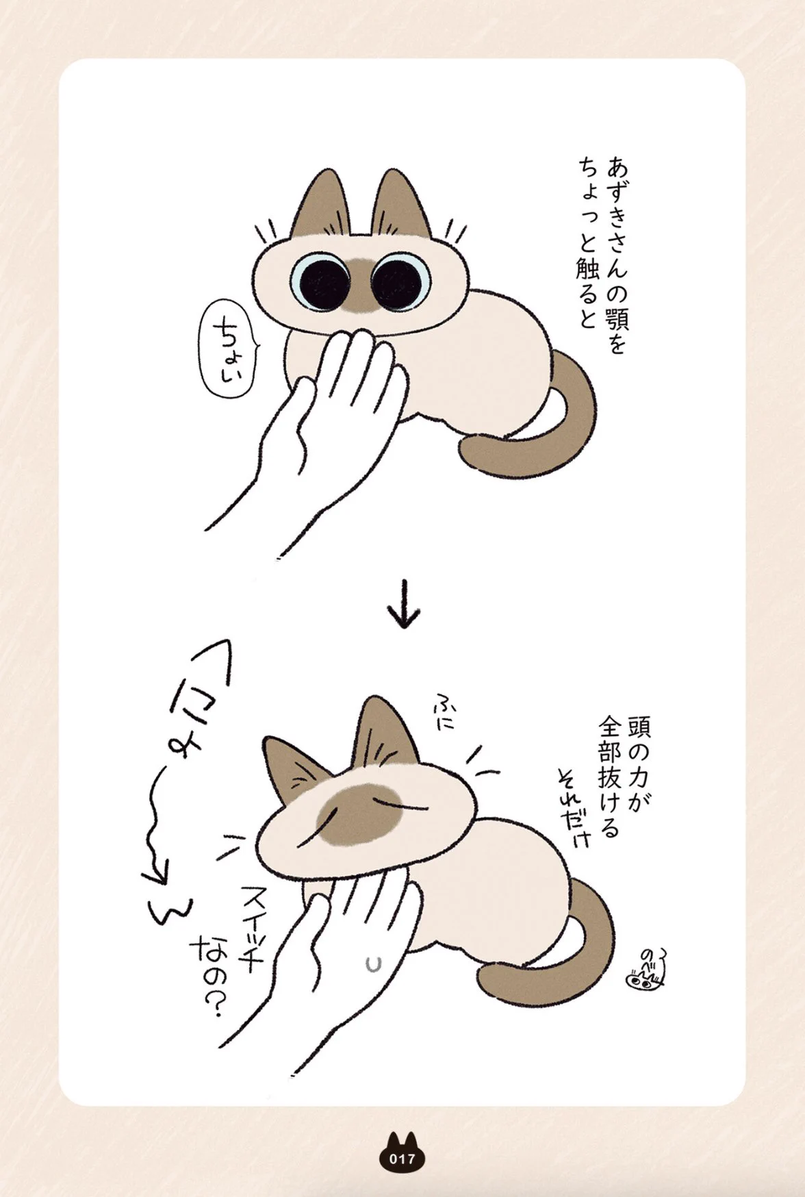あずきさん専用 シャム猫あずきさん』公式 (@cat_azukisan) / X