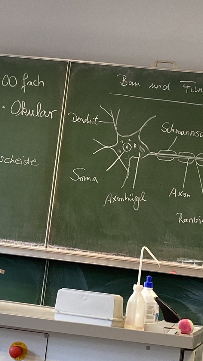 Alles erinnert mich an diesen 𝓕𝓻𝓮𝓪𝓴𝔂 Typen @soma_stx