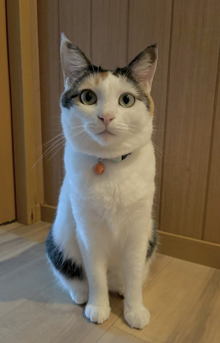 okoge_ten's tweet photo. めちゃくちゃ久しぶりに。 https://t.co/3Bq5Kwe3Qy