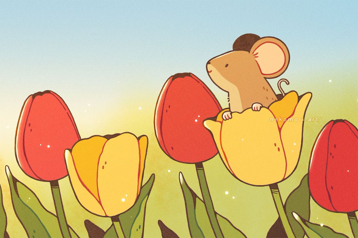 Happy bday to my beautiful and loving wife I already gave xem its gift I will be gate keeping it no one else can see it close ur eyes right now