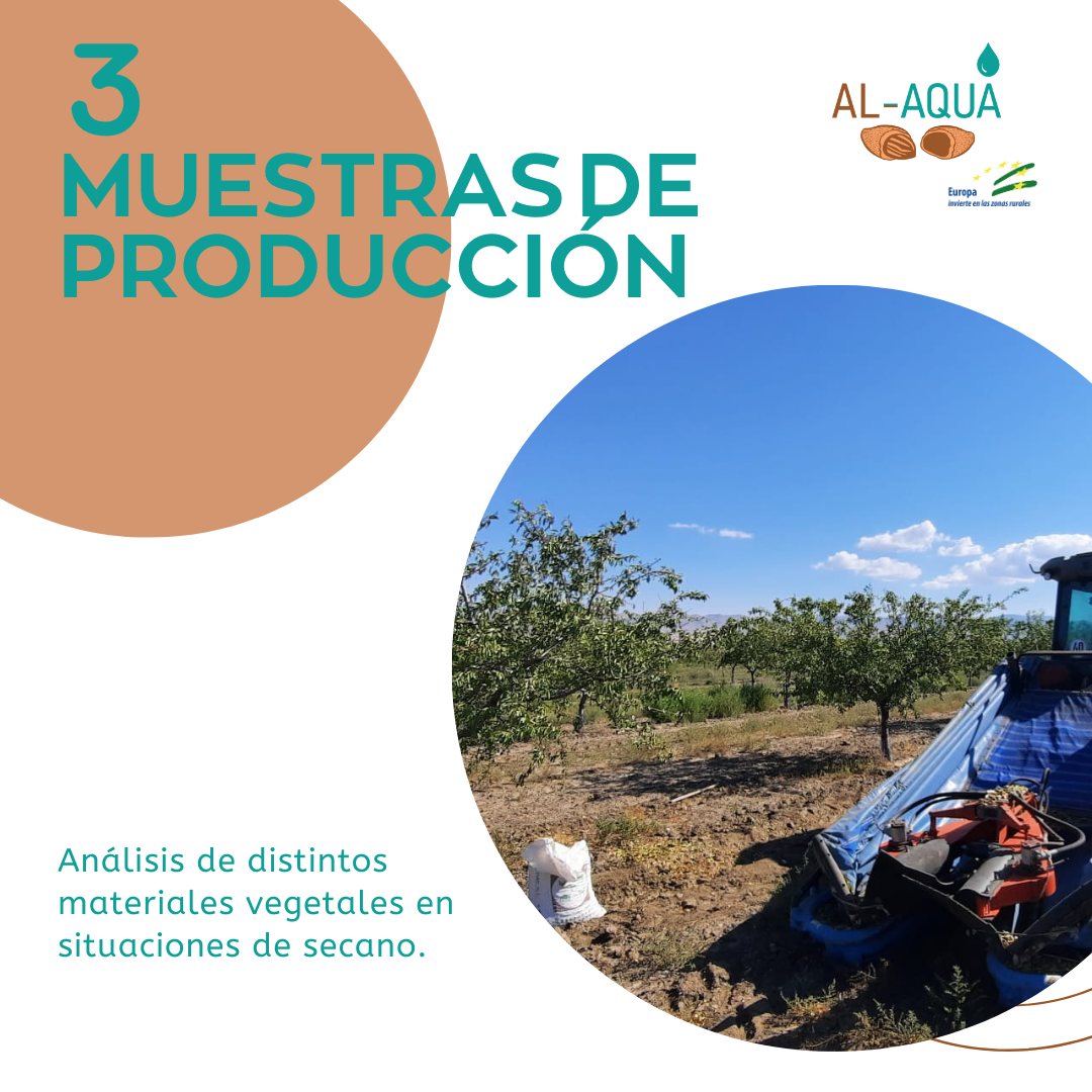 Nuevos avances en el proyecto AL-AQUA. En la finca experimental de <a href="/BioCrisara/">Crisara</a>, junto a los equipos del  <a href="/CTTecnova/">CT Tecnova</a>  y Fundación Aland, se ha realizado un vuelo con drones para ejecutar muestreos y conocer la situación actual y el vigor de distintas variedades de almendro.