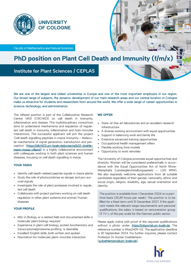 Interested in plant cell death? 
Great - we have a PhD position for you, available from January 2025 :
jobportal.uni-koeln.de/ausschreibung/…
