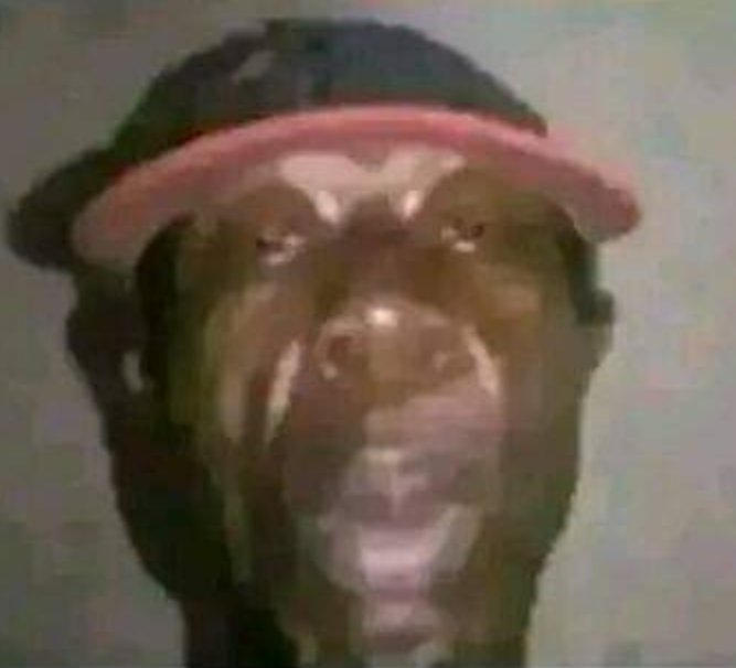 KevinMods79869's tweet photo. @AlertaEcuador7 Y solo se pelean por un vato de estas apariencias #humor https://t.co/EZbEkBc8Fj
