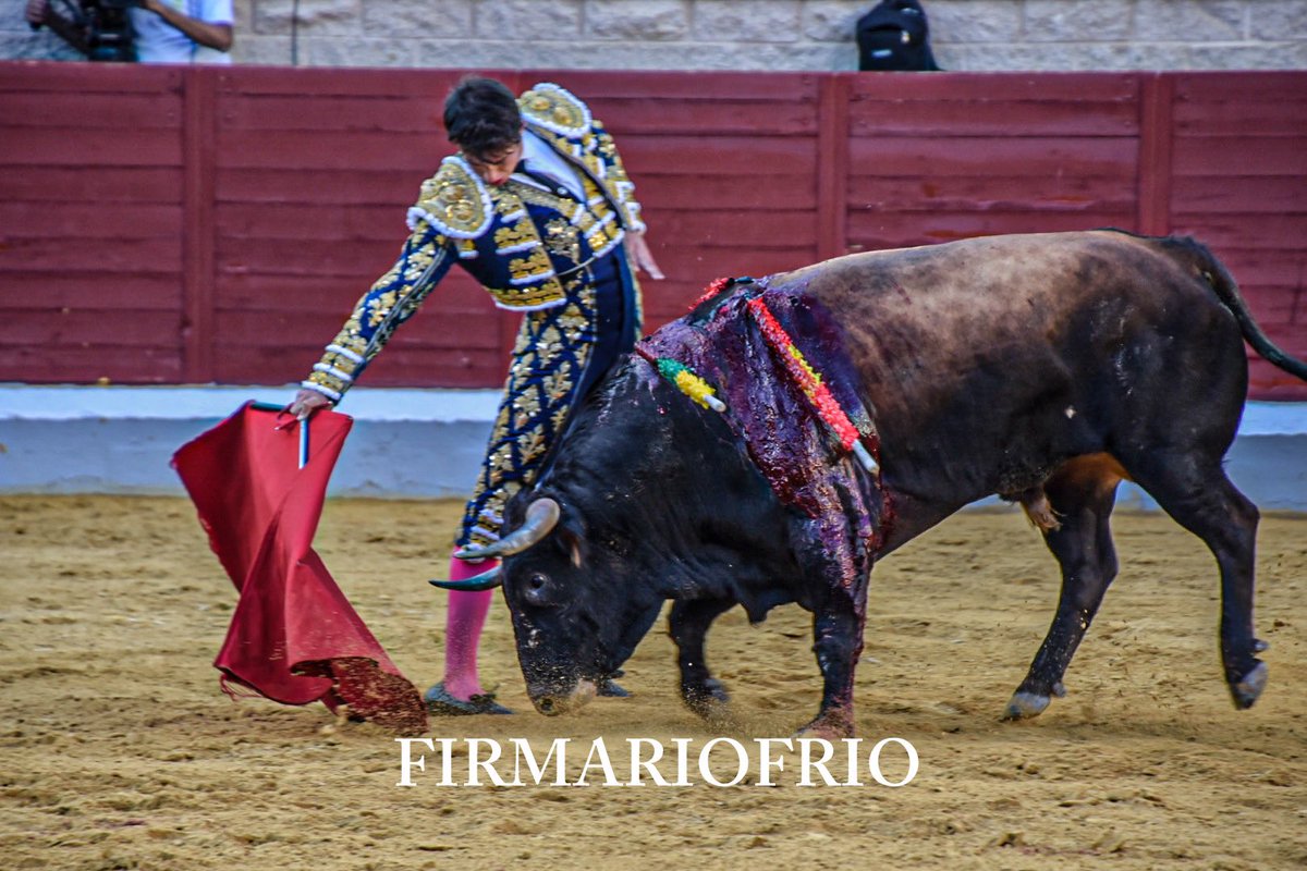 ElToreroDelDepor☝🏻 tweet media