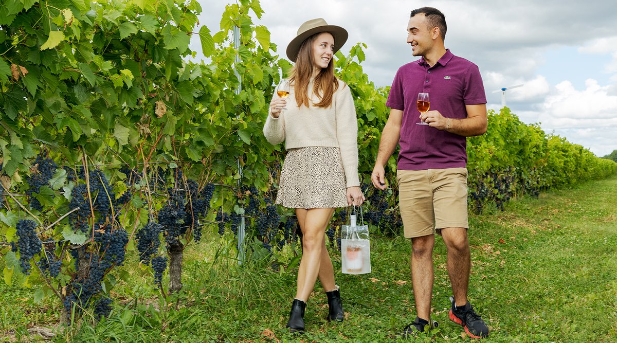 Vignoble Rivière du Chêne tweet media