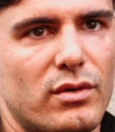 Golden Eagle tweet media