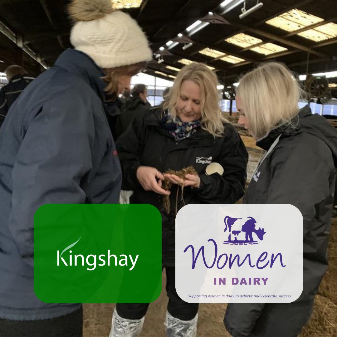 Kingshay Farming (@kingshayfarming) on Twitter photo We support all Women in Dairy. Today <a href="/womenindairy/">WomenInDairy</a> are holding their 10th conference, supported by us at <a href="/Kingshay/">charwanna</a>. Our very own <a href="/DairySarahB/">Sarah Bolt</a>, a founder of Women in Dairy, will be there. Do catch her and say hello!
#womenindairy #women #womeninagriculture We support all Women in Dairy. Today <a href="/womenindairy/">WomenInDairy</a> are holding their 10th conference, supported by us at <a href="/Kingshay/">charwanna</a>. Our very own <a href="/DairySarahB/">Sarah Bolt</a>, a founder of Women in Dairy, will be there. Do catch her and say hello!
#womenindairy #women #womeninagriculture