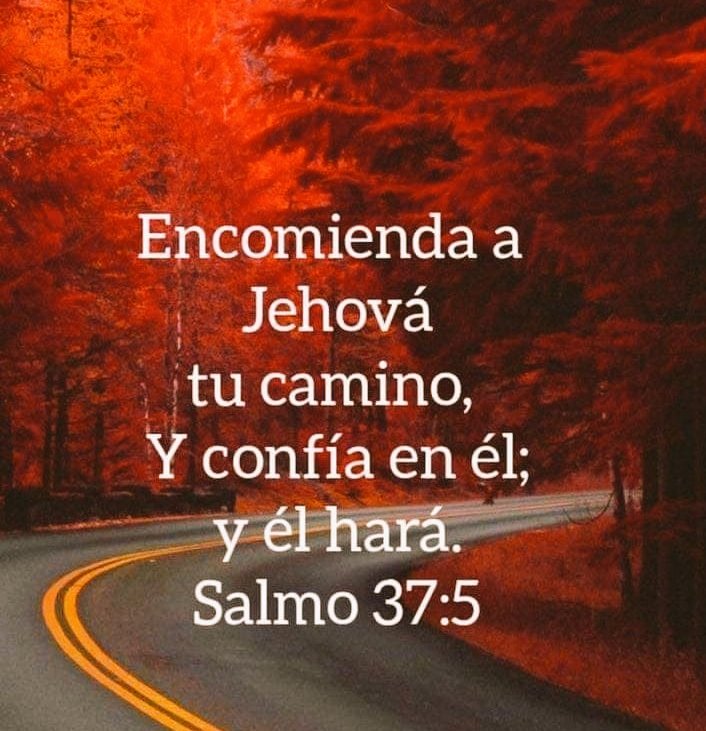 Elías Torres (@eliastorresc) on Twitter photo 