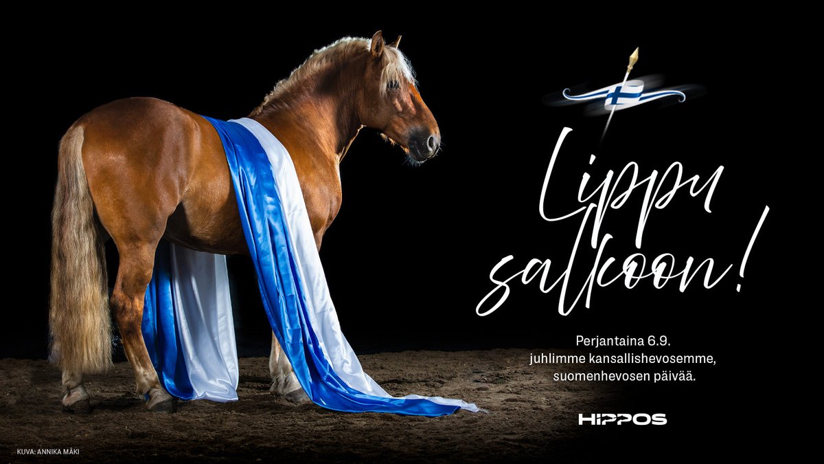 Hyvää suomenhevosen virallista juhlapäivää! 

Tänään perjantaina 6. syyskuuta nostamme lipun salkoon ainutlaatuisen kansallishevosemme, suomenhevosen kunniaksi. 🇫🇮

#suomenhevonen #suomenhevosenpäivä