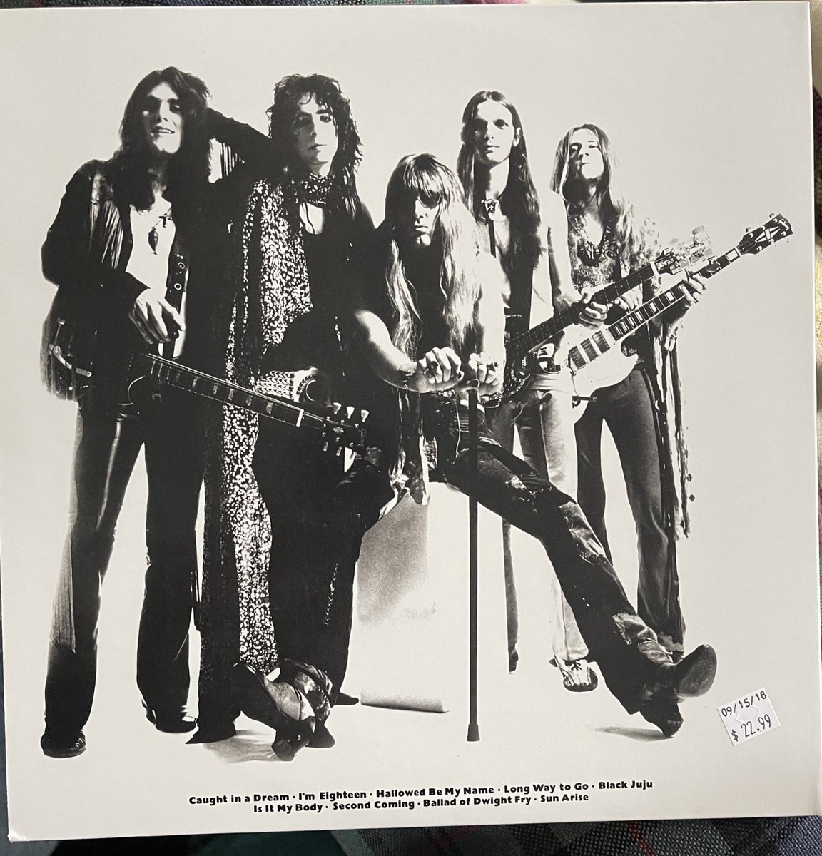 Will Sergeant tweet media