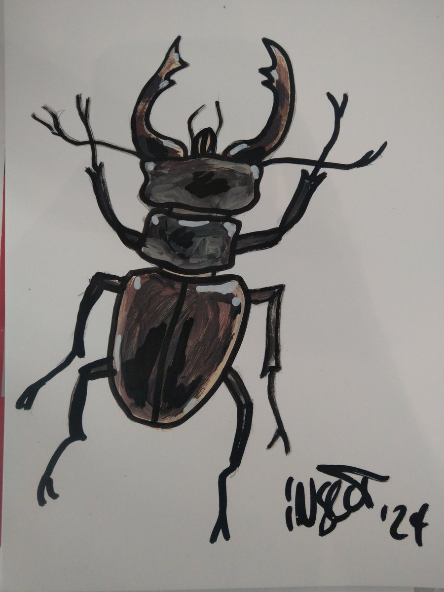 Insect_77's tweet image. 