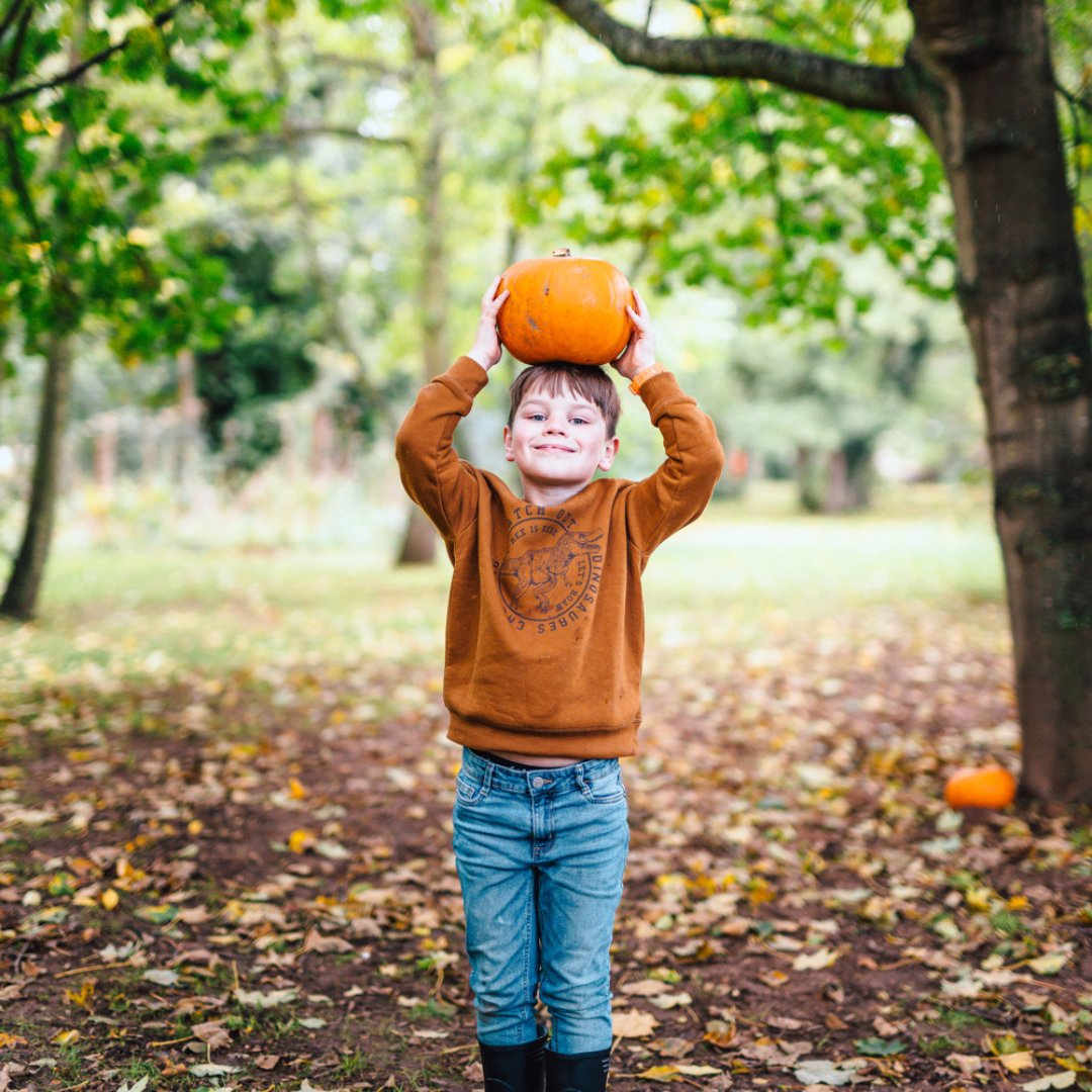 We've got a jam-packed entertainment schedule lined up for this October Half Term 🦇 

Join us for:
🎃 Pumpkin Carving
🧟‍♂️ Zombie Nerf Battle
🎨 Cauldron Craft sessions
🌟 Cinema under the stars
And much more, full details here: ow.ly/gtFf50Tg9r7