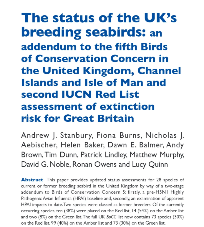 britishbirds's tweet photo. In the September Issue: The status of the UK’s breeding seabirds: an addendum to the fifth Birds of Conservation Concern in the United Kingdom, Channel Islands and Isle of Man and second IUCN Red List assessment of extinction risk for Great Britain https://t.co/iQ6Bh6ZKVd https://t.co/aDiakaDQ7W