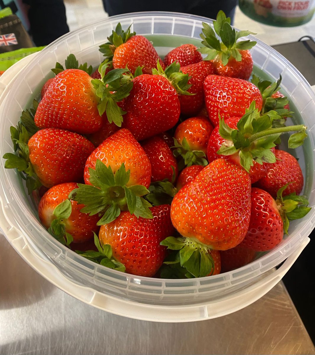 🍓Don't forget we are open tomorrow and over the weekend from 10.00am. Last admissions into our fields is at 4.00pm and we close at 5.00pm. 

🎟️Book here - manorfarmfruits.co.uk/book-now/
