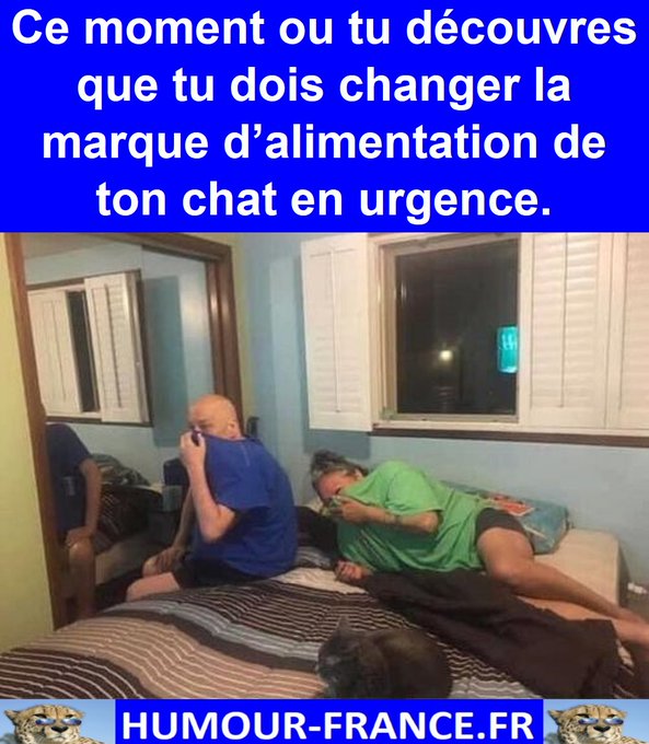 text alternatif