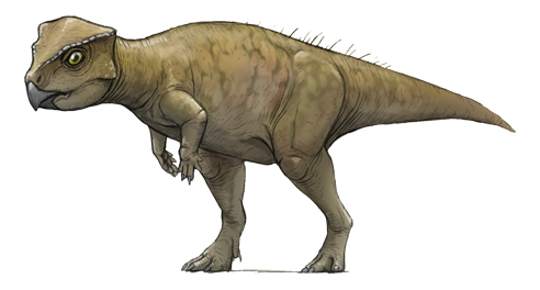 川崎悟司 tweet media