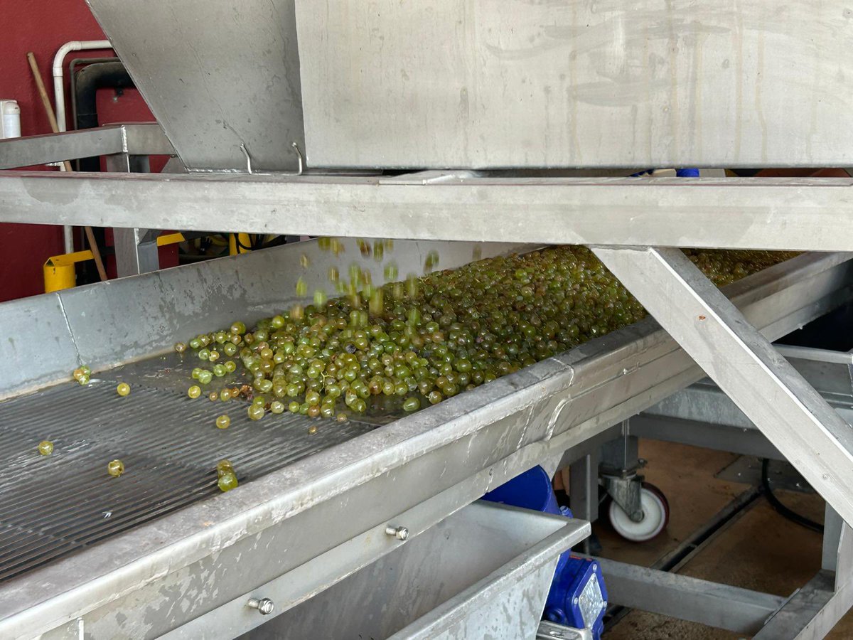 Mas Bertran tweet media