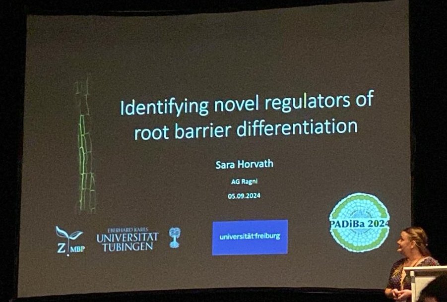 PADiBa2024 (@padiba2024) on Twitter photo Sara  Horvath is showing us great data on the impact of new regulators in 
the differentiation of root barriers #padiba2024 Sara  Horvath is showing us great data on the impact of new regulators in 
the differentiation of root barriers #padiba2024
