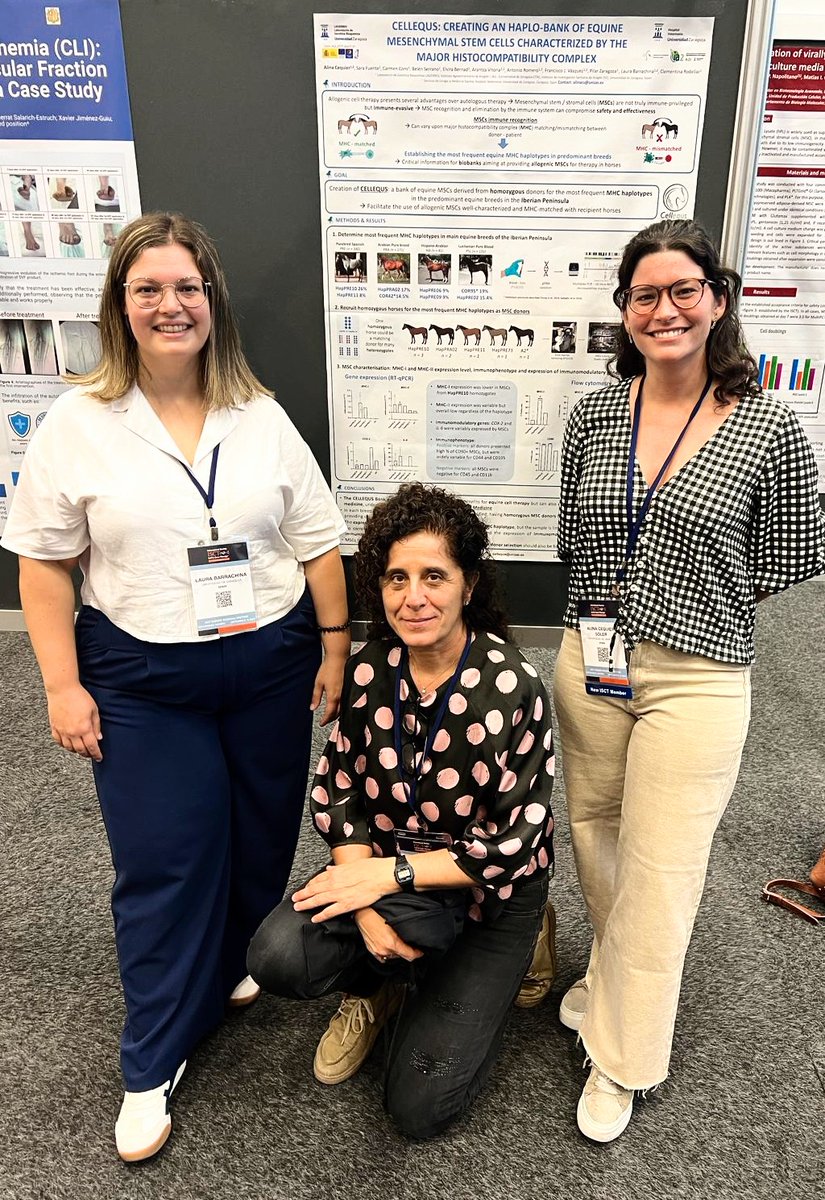 LauraVetStem's tweet photo. We are presenting our work on equine 🐎 stem cells at the #ISCTEU2024 in Goteborg!
- Generation of equine iPSC &amp;  chondrogenesis #CAREQiPSC @MSCActions
- Derivation of iMSC from equine iPSC @CienciaGob
- Haplobank of equine BM-MSC @cellequs
 Go #OneMedicine!
@unizar
@uniofgalway https://t.co/IrNh9LpAhh