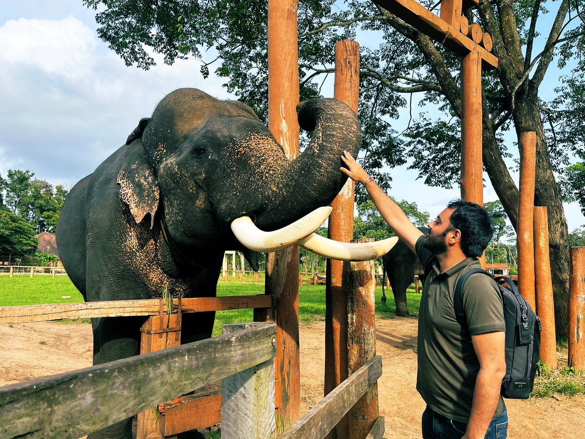 sarthakchd's tweet photo. "When you’re the elephant in the room, but nobody’s talking about you."
#Coorg https://t.co/mklyn5he3q