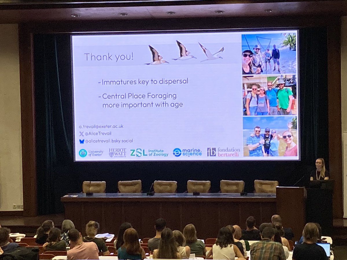 Francis Daunt (@francisdaunt) on Twitter photo Immaculate talk by @AliceTrevail on immature prospecting of breeding colonies in tropical #seabirds at #CoimbraSeabirds
<a href="/TheSeabirdGroup/">The Seabird Group</a> Immaculate talk by @AliceTrevail on immature prospecting of breeding colonies in tropical #seabirds at #CoimbraSeabirds
<a href="/TheSeabirdGroup/">The Seabird Group</a>
