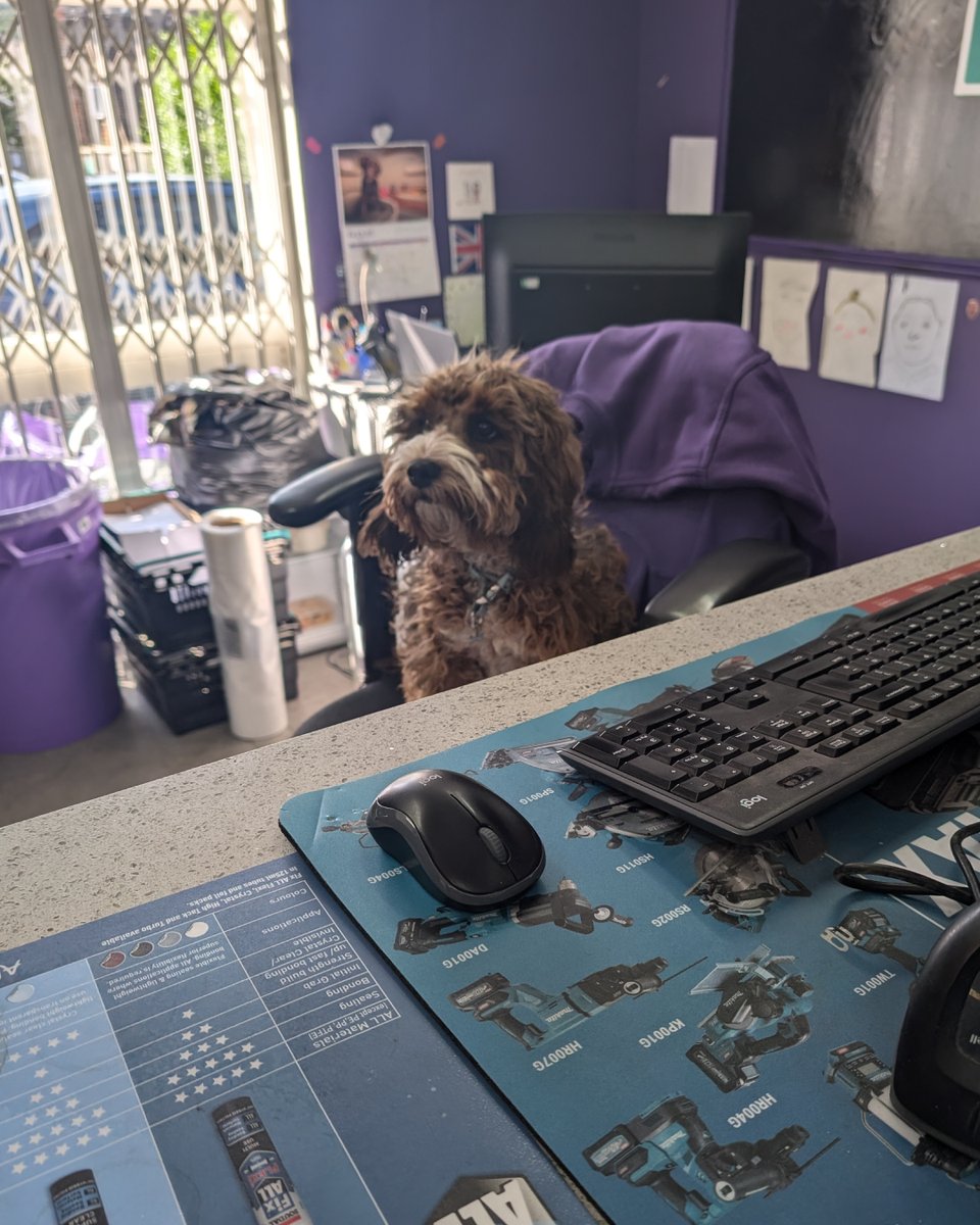 🐾 You must know by now that we've got a soft spot for dogs here at OBM, so meet Molly, our newest front desk recruit! 🐶 😆

#obm #woof #dog #construction #buildersmerchants #constructiondog #dogsofinstagram #otford