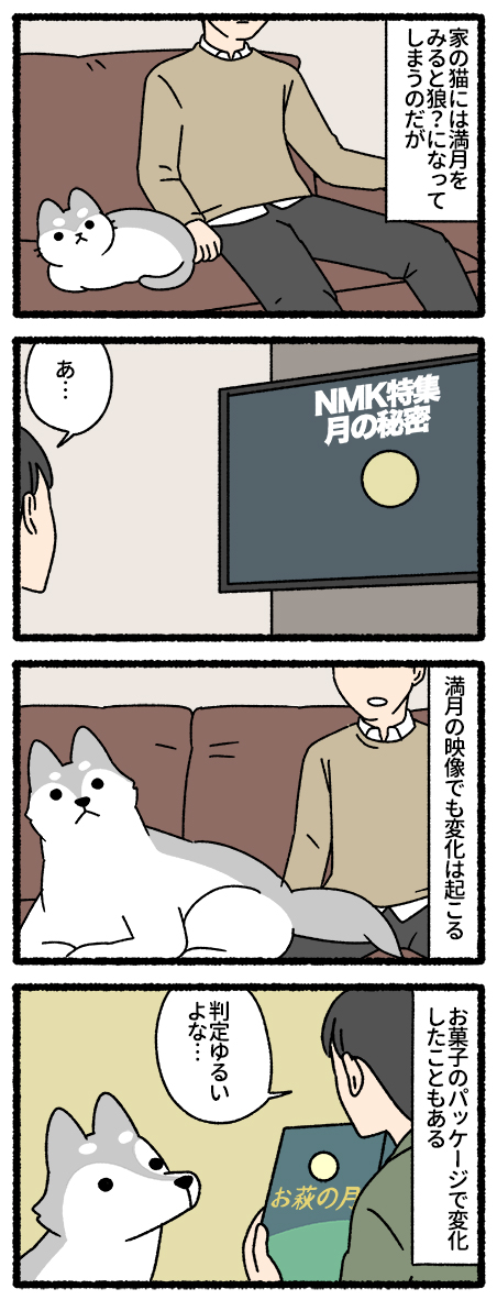 ねこもんすたー おおかみおとこ #ねこもんすたー #ねこようかい
