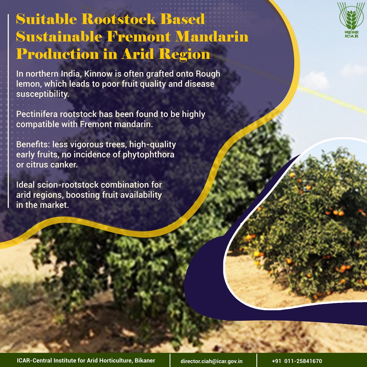 Indian Council of Agricultural Research. tweet media