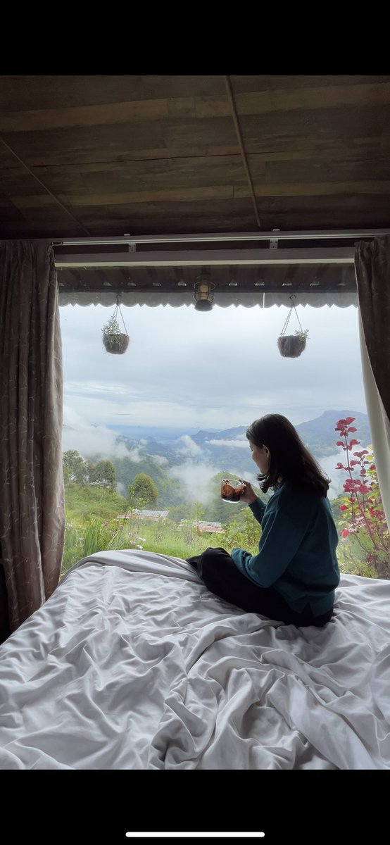 mehakagrawall's tweet image. This is the most beautiful property I have ever stayed in India 🥹♥️