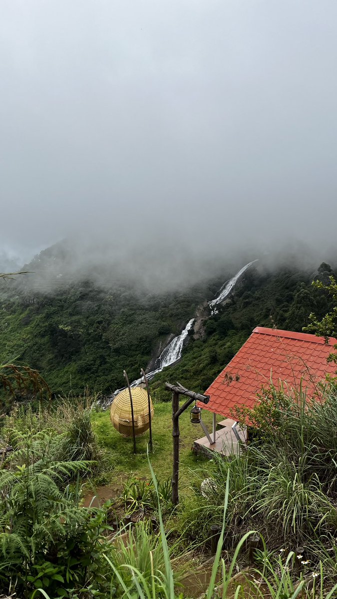 mehakagrawall's tweet image. This is the most beautiful property I have ever stayed in India 🥹♥️