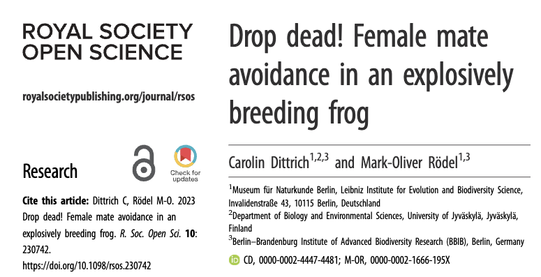 Bibiana Rojas (@biobiiana) on Twitter photo .@CarolinDittrich's paper listed as one of the most popular papers published over the past 10 years in <a href="/RSocPublishing/">Royal Society Publishing</a> Royal Society Open Science🏆 ow.ly/PVEP50Tgcej #RSOS Congrats, Caro! @roedel_lab .@CarolinDittrich's paper listed as one of the most popular papers published over the past 10 years in <a href="/RSocPublishing/">Royal Society Publishing</a> Royal Society Open Science🏆 ow.ly/PVEP50Tgcej #RSOS Congrats, Caro! @roedel_lab