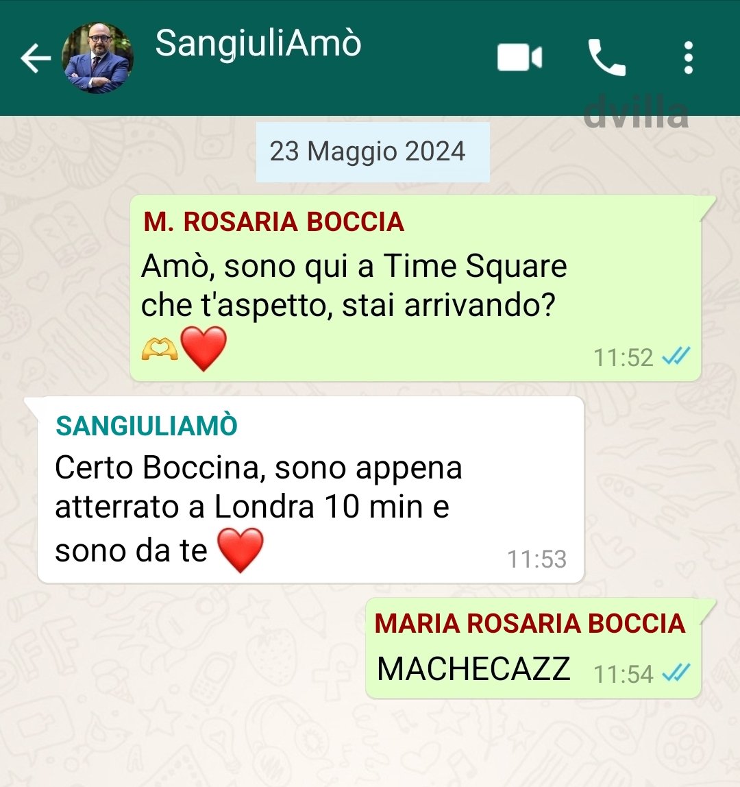 MARIA ROSARIA BOCCIA HA PUBBLICATO LA PRIMA CHAT PRIVATA :(