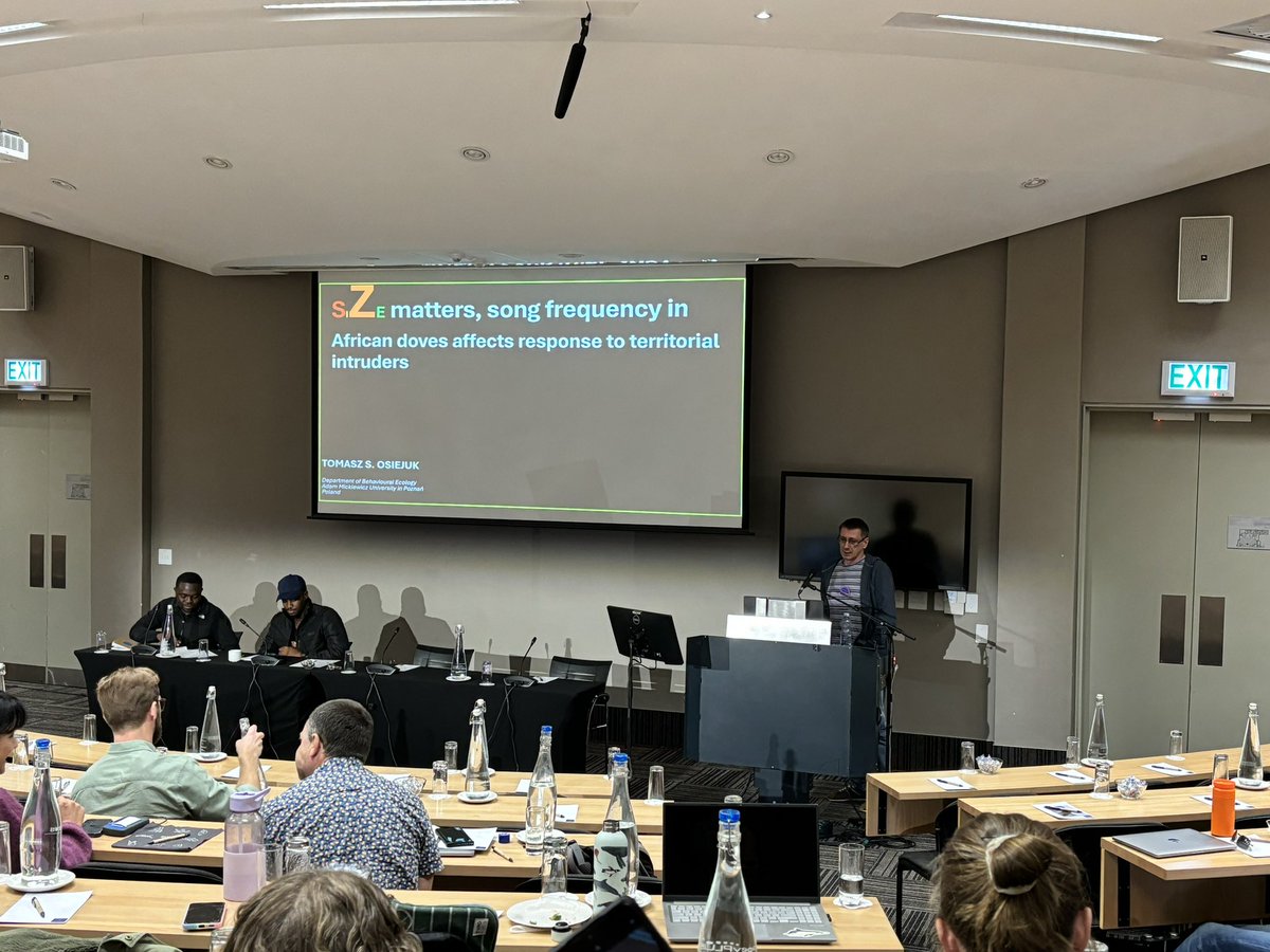 Remember… Size matter, at least for doves. Talk at African Bioacoustics Community conference