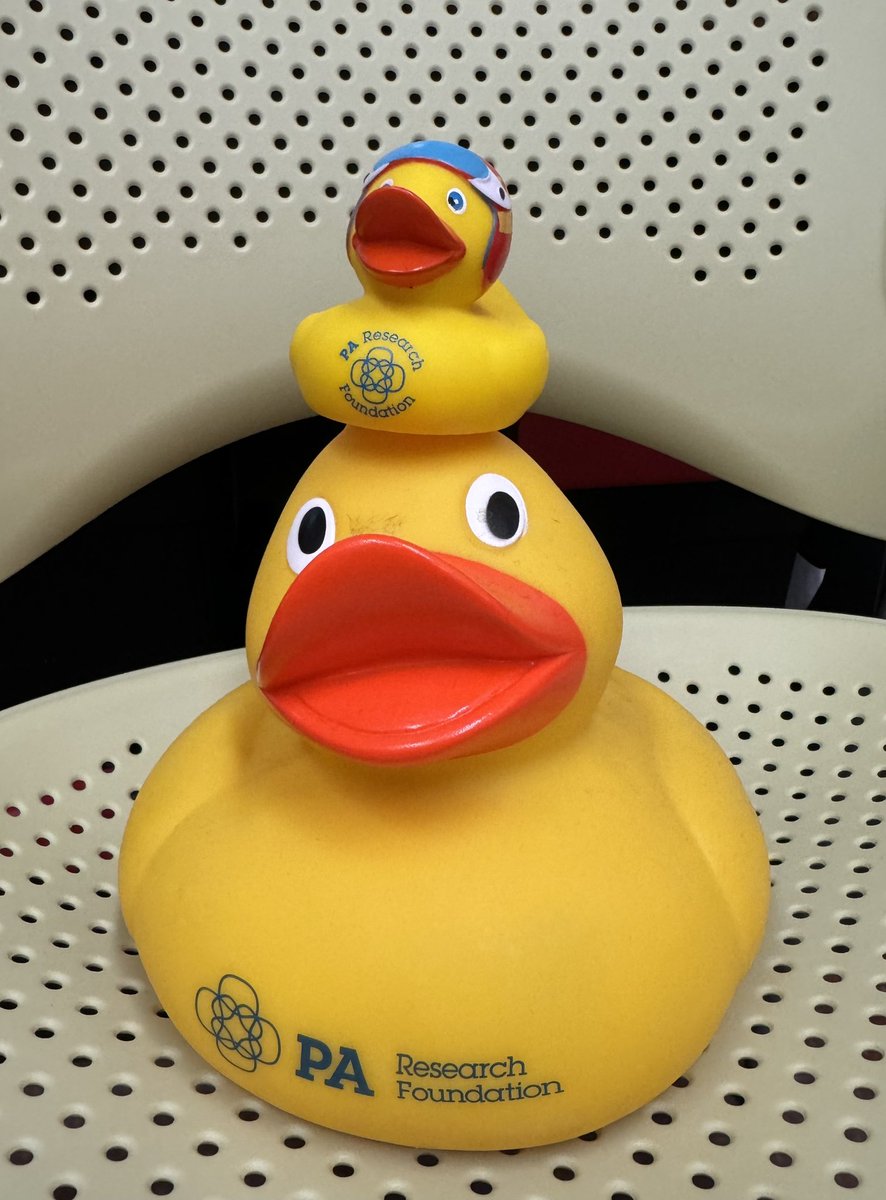 Elizabeth Williams (@ozedw) on Twitter photo Ducks don’t have bladders but people certainly do! Help us fight bladder cancer by donating to the <a href="/PARFoundation/">PA Research Foundation</a> Give Big fundraising day here pa.givebig.org.au/qbci
<a href="/QBCI_/">QBCI</a> <a href="/QUT_Genomics/">QUT Centre for Genomics & Personalised Health</a> <a href="/QUT/">QUT</a> Ducks don’t have bladders but people certainly do! Help us fight bladder cancer by donating to the <a href="/PARFoundation/">PA Research Foundation</a> Give Big fundraising day here pa.givebig.org.au/qbci
<a href="/QBCI_/">QBCI</a> <a href="/QUT_Genomics/">QUT Centre for Genomics & Personalised Health</a> <a href="/QUT/">QUT</a>