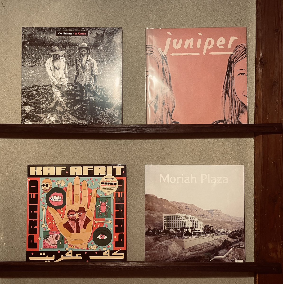 さぼてん堂 tweet media