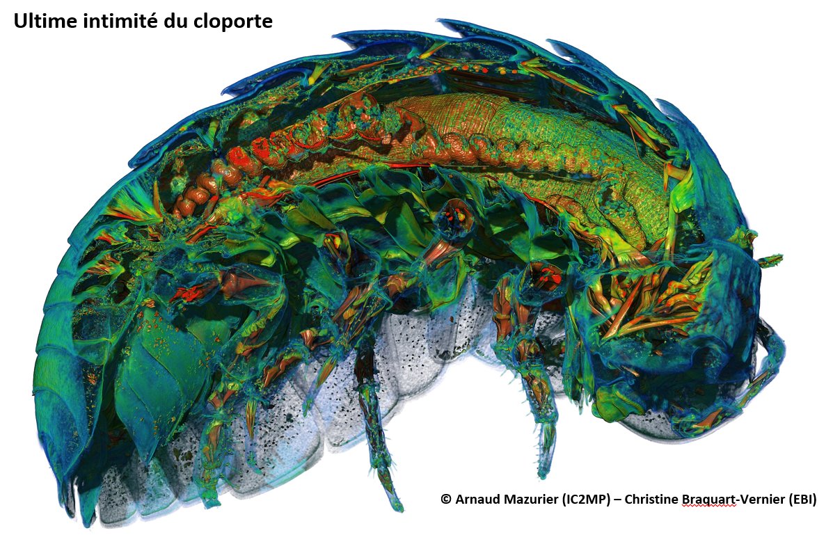 Fruit d'une collaboration entre l'IC2MP &amp; EBI, cette image a été sélectionnée dans le cadre du concours photo "Regard[e] la science !". Elle sera exposée sur le campus CNRS d'Orléans les 5 et 6 octobre.
intranet.cnrs.fr/delegations/dr…
@IC2MP <a href="/EBI_LabPoitiers/">Laboratoire EBI</a> <a href="/DR08_CNRS/">CNRS Centre Limousin Poitou Charente</a> <a href="/UnivPoitiers/">Université de Poitiers</a>