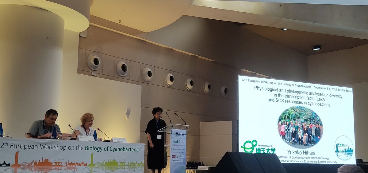 ewbc2024's tweet image. More Physiology, Metabolism and Bioenergetics after the coffee break