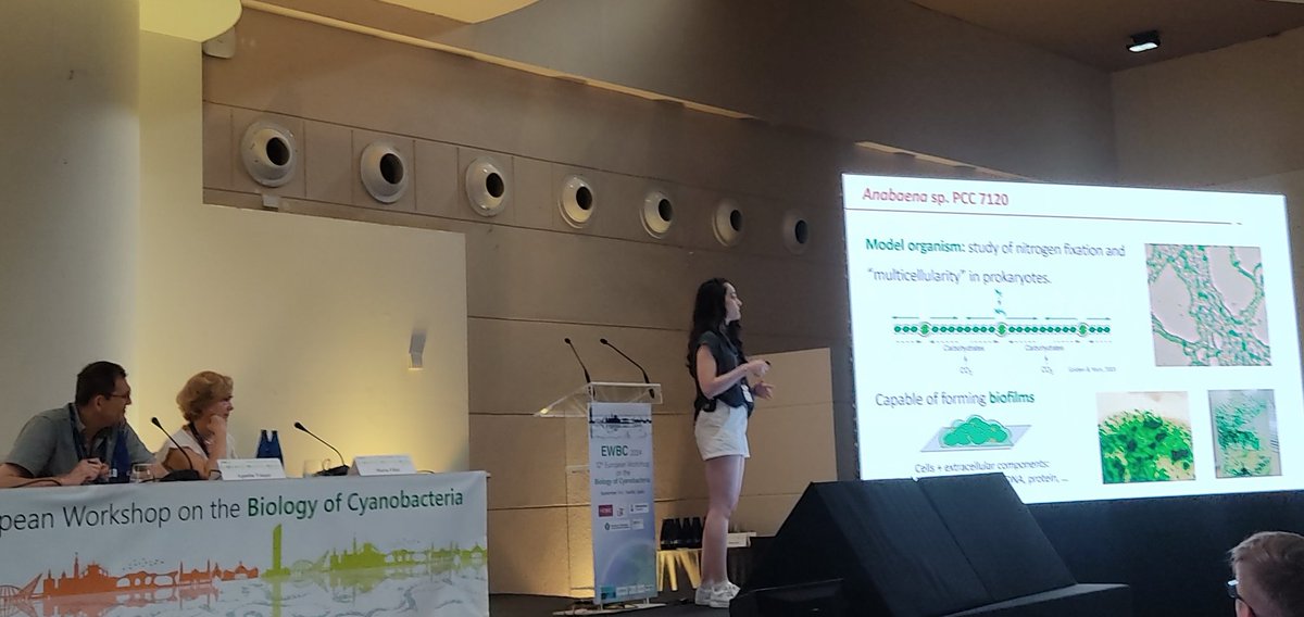 ewbc2024's tweet image. More Physiology, Metabolism and Bioenergetics after the coffee break