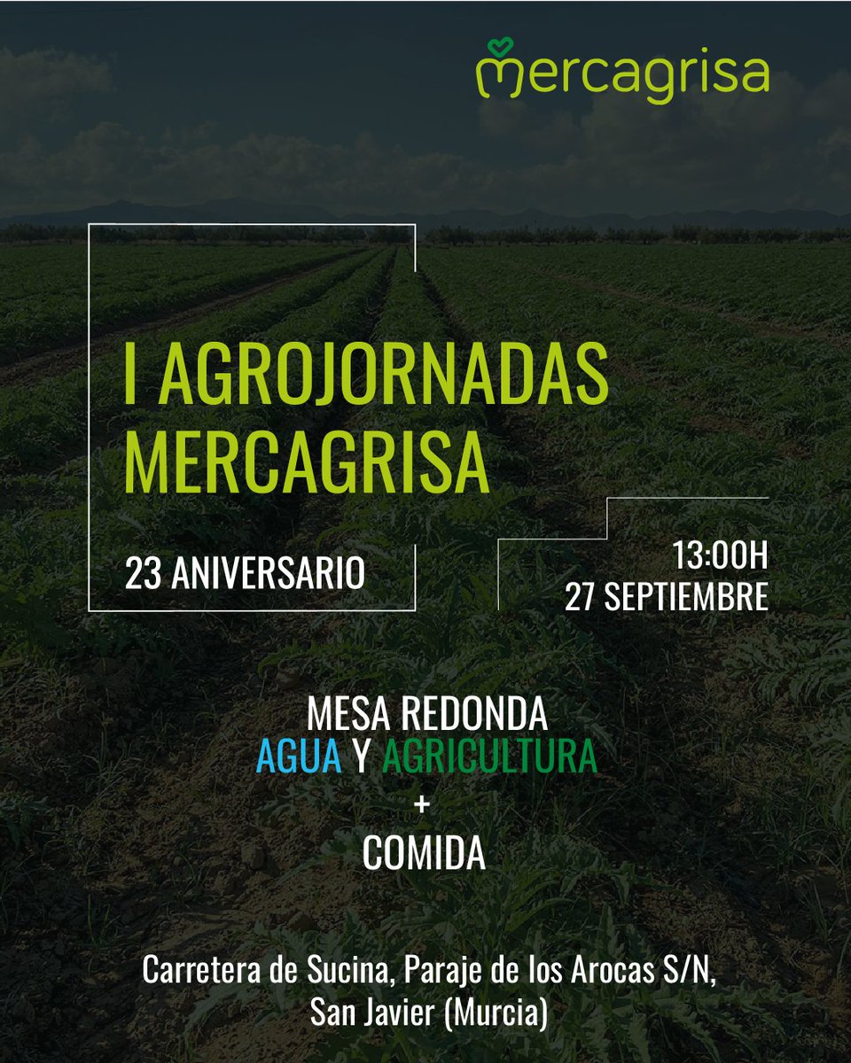 Mercagrisa tweet media