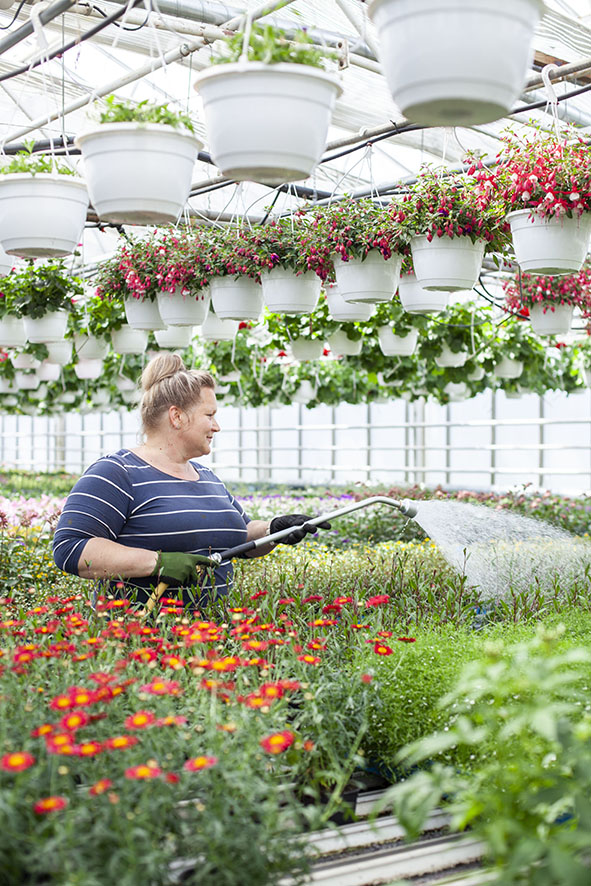 Erinomaista Yrittäjän päivää! 🌻

Suomessa on 744 kasvihuoneyritystä, jotka kasvattavat joka päivä tuoretta ja puhdasta lähiruokaa sekä elämyksellisiä ja hyvää tekeviä koristekasveja meidän kaikkien iloksi. 

Kiitos kasvihuoneyrittäjät!