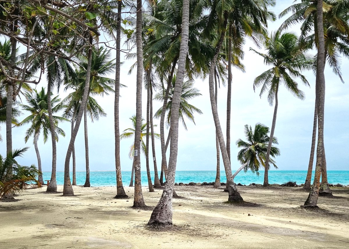 Vivere da local sulle isole dei locals maldiviani! 
Avete mai pensato di andare alle 🇲🇻Maldive🇲🇻in Guesthouse? 
Qui eravamo a #Mathiveri al Captal Villa Island 
#Maldives #supplied