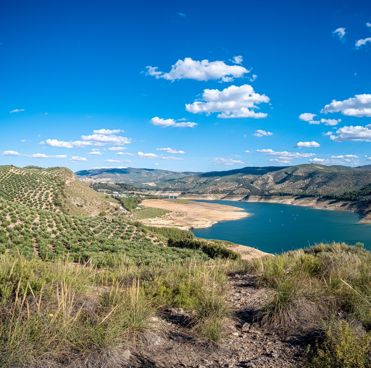 Centros de Ocio ALÚA tweet media