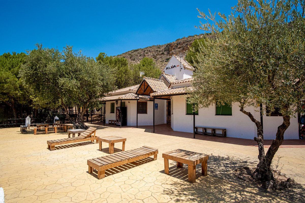 Centros de Ocio ALÚA tweet media